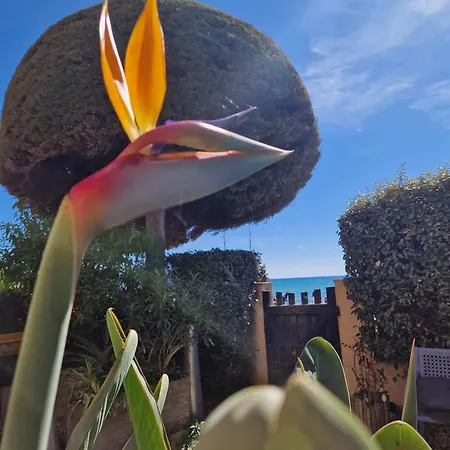 Appartement Un Jardin Sur La Les Lecques