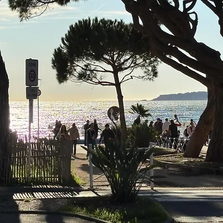 Un Jardin Sur La Les Lecques